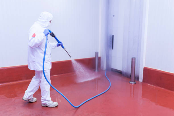 Boat and Dock Cleaning in Lake Hiawatha, NJ