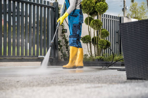 Best Roof Washing  in Lake Hiawatha, NJ